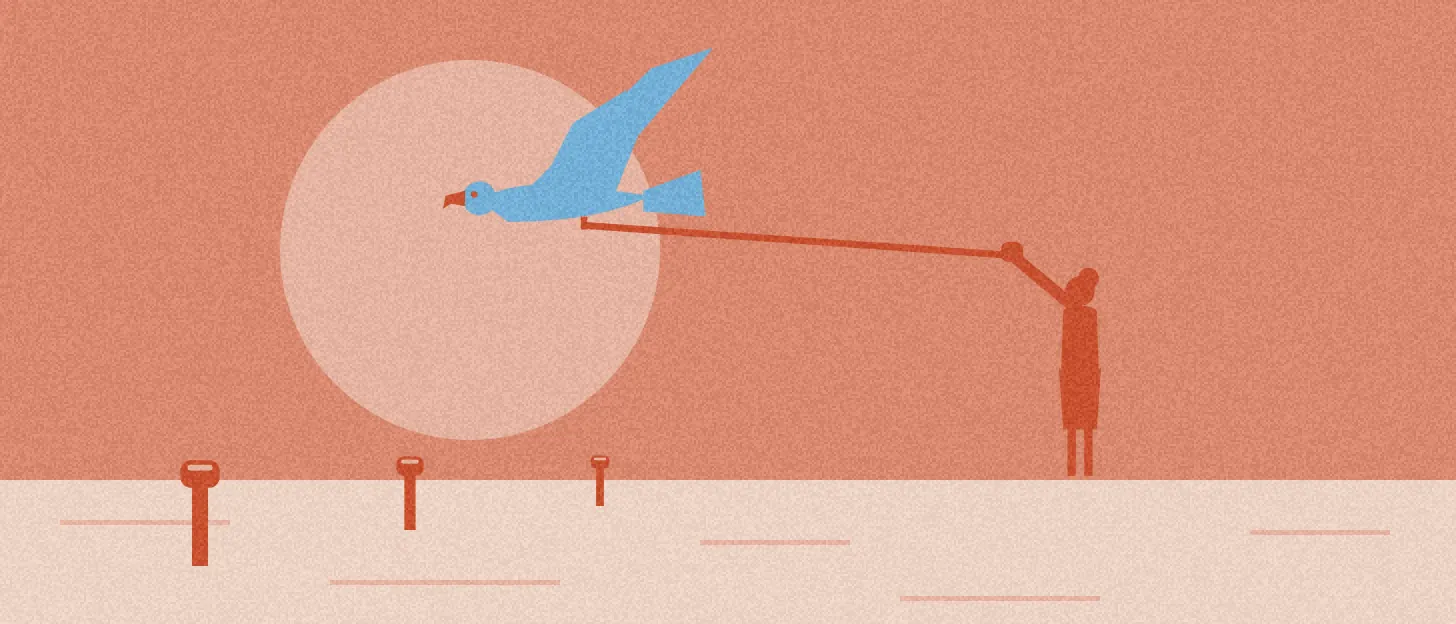 Illustration : une fauconnière retient par une longue filière un faucon qui vole vers l'un de trois perchoirs